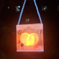 |36-pink Love# Kleine Geschenkbox/rafi Grass
