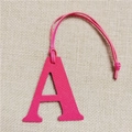 Macro detail of rose pink Epsom leather letter A bag charm with cross-grain texture - Letter A Rose Red