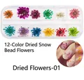 Detail of 12-color dried snow pearl flowers in a clear box for floral nail art design - Dried Flowers-01 (12 Colors Snow Beads)