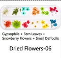 Macro view of 12-grid nail art set with baby's breath and fern dried flowers - Dried Flowers-06 (Gypsophila/Fern/Snow Beads/Narcissus)