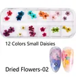12-color mini narcissus dried flowers for nail art in clear organizer box with sample tips - Dried Flowers-02 (Narcissus)