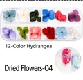 Close-up of 12 colors of dried hydrangea petals in a plastic storage box for nail art DIY - Dried Flowers-04 (Hydrangea)