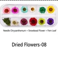 Detailed set of 12-color dried flowers for nail art including fern leaves and daisy petals - Dried Flowers-08 (Needle Mum/Snow Beads/Fern)