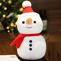 Bonhomme De Neige | 22 Cm