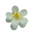 Translucent creamy white plumeria hair claw clip with yellow center and resin finish - Colorful 5-Petal Flower [White]