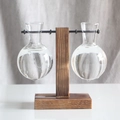 Close-up of two spherical glass vases suspended on a dark wooden frame for hydroponic plants - Vintage C Style (Double Bottles)