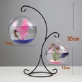 Hanging glass fish bowl set with dual spheres on a 35cm black iron stand for decor - Double Hook Black Stand/Twin Round Bowls/With Decor