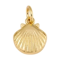 Detailaufnahme eines goldenen Muschel-Anhängers mit radialer Textur für DIY-Schmuck - Muschel