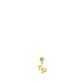 Capricorne (pendentif Séparé)