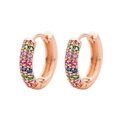 Macro shot of rose gold earrings with multi-colored cubic zirconia pave setting - Rose Gold / Multicolor Zirconia
