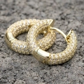 Chic gold-plated hoop earrings with micro-pave white zircon stones for a luxury style - Gold