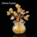 |citrine (fish Tank)
