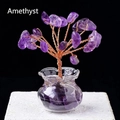 |amethyst (fish Tank)