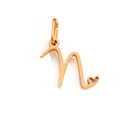 Rose gold letter N pendant in stainless steel with hollow heart detail design - Letter N / Rose Gold