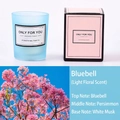 Frosted Sky Blue (Light Floral)