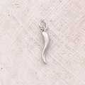 Zilver Staal - Chili