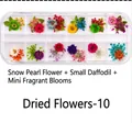 Detailed macro view of a 12-slot storage box with assorted colorful dried nail art flowers - Dried Flowers-10 (Snow Beads/Narcissus/Gnaphalium)