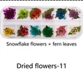 Macro detail of 12-color dried lace flowers and fern leaves set for nail art DIY - Dried Flowers-11 (Snow Beads/Fern)
