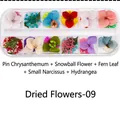 Detailed macro view of 12-compartment nail art kit featuring various dried flower petals - Dried Flowers-09 (Needle Mum/Snow Beads/Fern/Narcissus/Hydrangea)