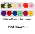 Macro shot of 12-grid organizer box with colorful hibiscus and fern leaves for nail art - Dried Flowers-13 (Hibiscus/Fern)