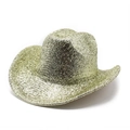 Close-up detail of champagne gold metallic wire woven texture on a western cowboy hat - M (56-58cm) / Champagne