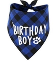 Bandana blu a scacchi per compleanno cane con scritta Birthday Boy per decorazione - Bandana di compleanno a quadri blu per ragazzo
