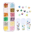 Set di glitter iridescenti a stella e diamante in scatola a 12 griglie per nail art - Stile Stelle Cuori Croce Stella Olografico (CTH-71)