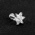 Acier Zirconium Blanc | 12 X 6 X 7 X 8 Mm