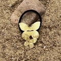 Golden butterfly metal hair tie with high elastic black band and intricate wing detail - Double Butterfly Gold