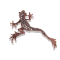 Bronze lizard brooch featuring dark grey crystals with a sparkling textured finish - Brown Gecko Style (YNCP3859棕色壁虎)