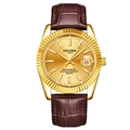 Men's gold quartz watch with brown leather strap and date display on white background - Brown Strap Gold Case Gold Dial Men's