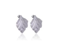 Minimalist silver titanium steel leaf-shaped stud earrings with brushed texture - Silver Bio-leaf Vein Stud