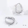 Irregular silver stainless steel serpent hoop earrings displayed on a white stone block - Snake Design Style (款式4)