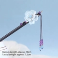 Begonia-transparent Blue-b