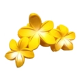 Three yellow gradient frangipani flower hair claws made of matte resin on white background - Matte Triple Plumeria Claw [Yellow]