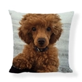 Modern square linen cushion cover featuring a cute brown poodle print on a snowy background - Square (No Insert) / Brown Poodle in Snow Style (AB6821-6)