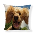 Square linen pillow cover featuring a cute golden doodle dog print in an outdoor setting - Square (No Insert) / Golden Poodle Style (AB6821-14)