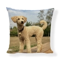 Square linen pillow cover featuring a cute light-colored poodle dog outdoor print - Square (No Insert) / Cream Poodle Standing Style (AB6821-5)
