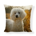 Modern cute linen throw pillow cover with white poodle print on natural background - Square (No Insert) / Outdoor White Poodle Style (AB6821-9)