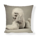 Linen square pillow cover featuring a cute white poodle print on a neutral beige background - Square (No Insert) / White Poodle Style (AB6821-3)