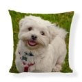 Square linen pillow cover featuring a cute white puppy print with a red harness - Square (No Insert) / White Puppy with Red Harness Style (AB6821-15)
