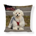 Square linen cushion cover featuring a cute white Maltese dog with a red harness print - Square (No Insert) / White Dog with Red Harness Style (AB6821-4)