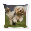 Modern square linen cushion cover featuring a cute puppy print on green background - Square (No Insert) / Green Tone Puppy Pattern Style (AB6821-12)