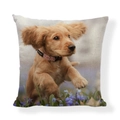 Linen decorative pillow cover featuring a vivid Cocker Spaniel dog print pattern - Square (No Insert) / Running Cocker Spaniel Style (AB6821-16)