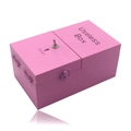 Pink wooden Useless Box novelty toy with metal toggle switch on a white background - Pink Wood (Useless Box)