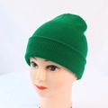 Detail shot of emerald green ribbed knit beanie showing high-quality textured stitching - One Size / Green