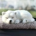 Close-up of a white plush cat doll sleeping peacefully with soft long faux fur texture - Large Samoyed Dog