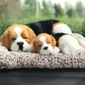 Detailed view of two realistic sleeping beagle plush toys on a soft grey cushion - Beagle Parent-Child Lying Set