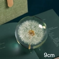 Bola de cristal de 9cm con espécimen de diente de león real y caja para regalo - Bola de Diente de León 9cm (Caja de Regalo)