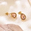 Bd514 Champagne